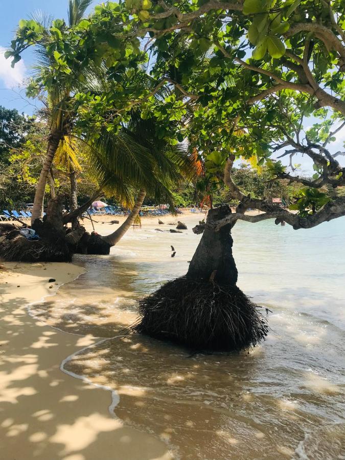 Oasis En La Naturaleza Rancho Alto Bonito Las Galeras Exteriör bild