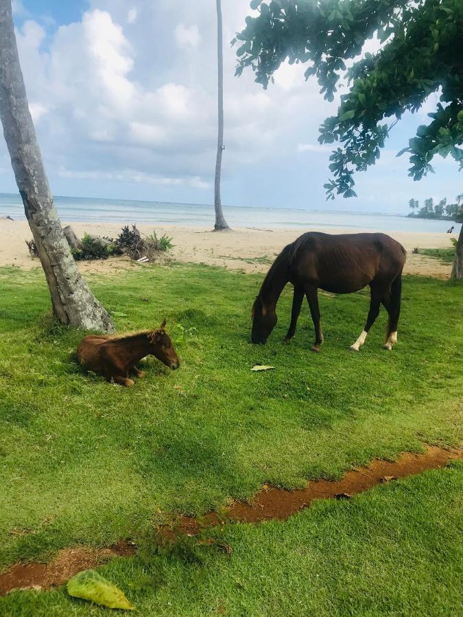Oasis En La Naturaleza Rancho Alto Bonito Las Galeras Exteriör bild